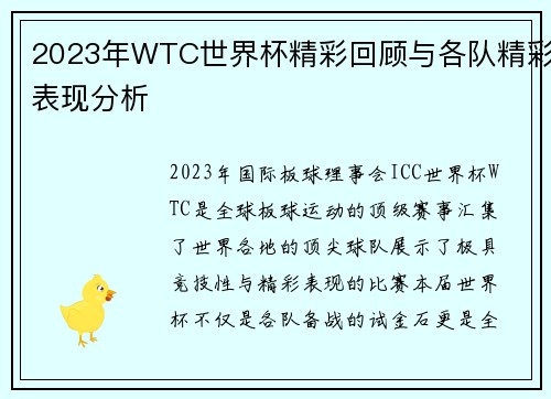2023年WTC世界杯精彩回顾与各队精彩表现分析